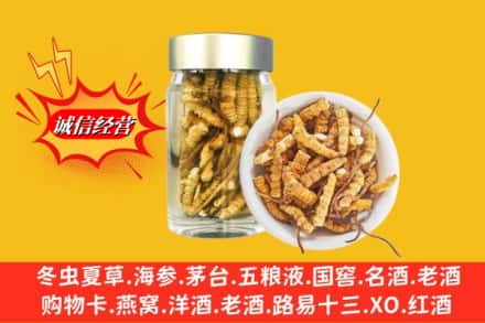 杭州下城区回收散虫草