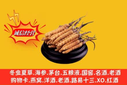 杭州下城区求购回收虫草多少钱每克